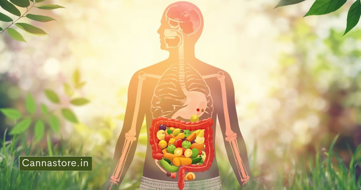 abhayarishta benefits