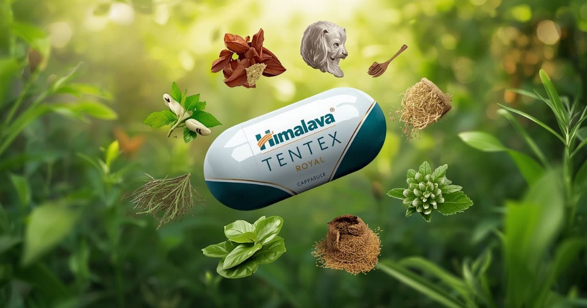 himalaya tentex royal capsule
