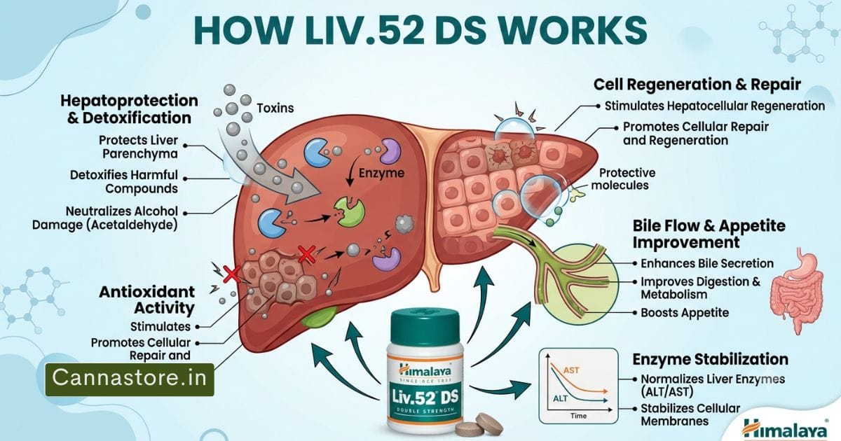 Liv 52 DS Tablet Benefits and Side Effects "create Image for features image blog post"