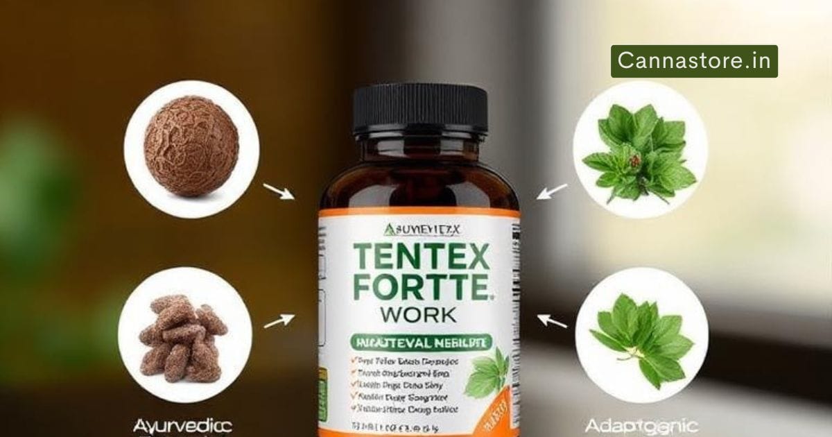 Tentex Forte may also include additional herbal ingredients selected according to Ayurvedic formulation principles. These herbs are intended to work together, creating a balanced blend that supports overall wellness rather than targeting a single function.The combination of herbs reflects Ayurveda's holistic philosophy, which focuses on maintaining harmony within the body through carefully selected natural ingredients.