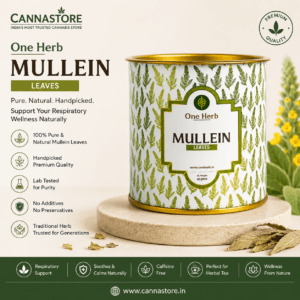 One Herb - Mullein Leaves